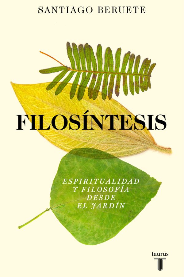 Papel Filosintesis