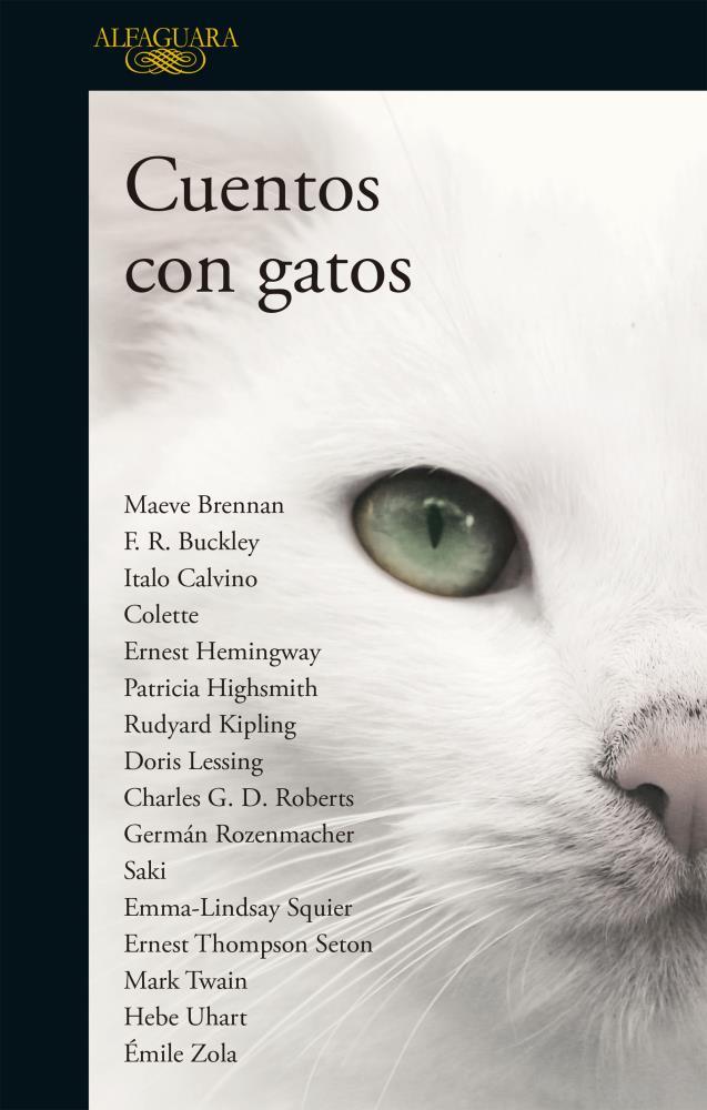 Papel Cuentos Con Gatos