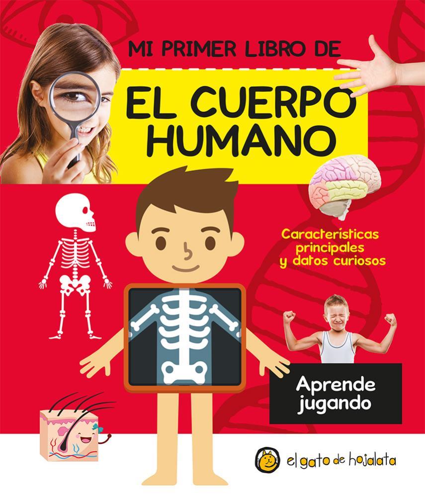 Papel El Cuerpo Humano